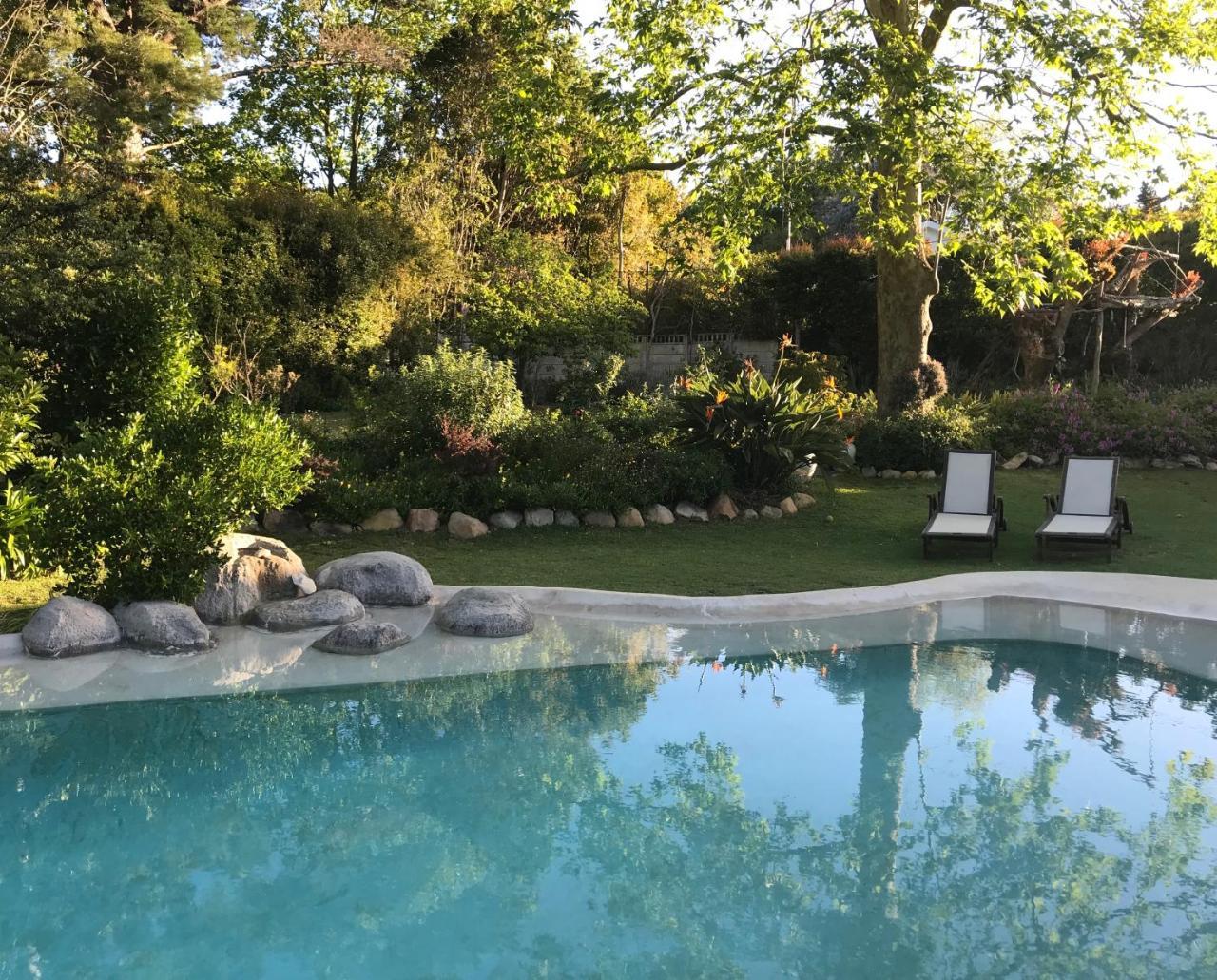 Beluga Of Constantia Guest House كيب تاون المظهر الخارجي الصورة