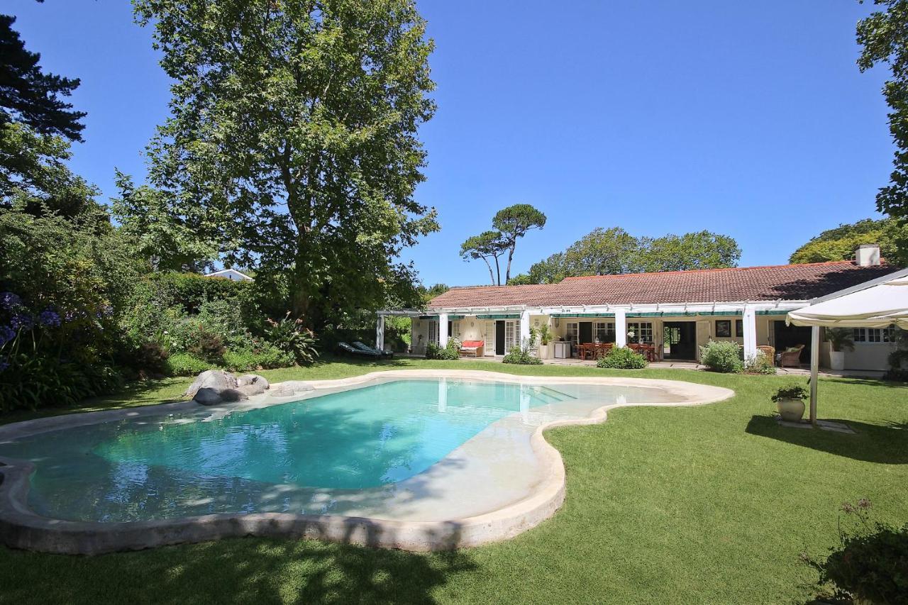 Beluga Of Constantia Guest House كيب تاون المظهر الخارجي الصورة