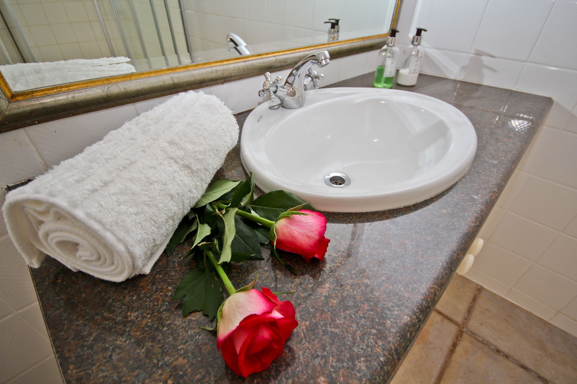 Beluga Of Constantia Guest House كيب تاون المظهر الخارجي الصورة