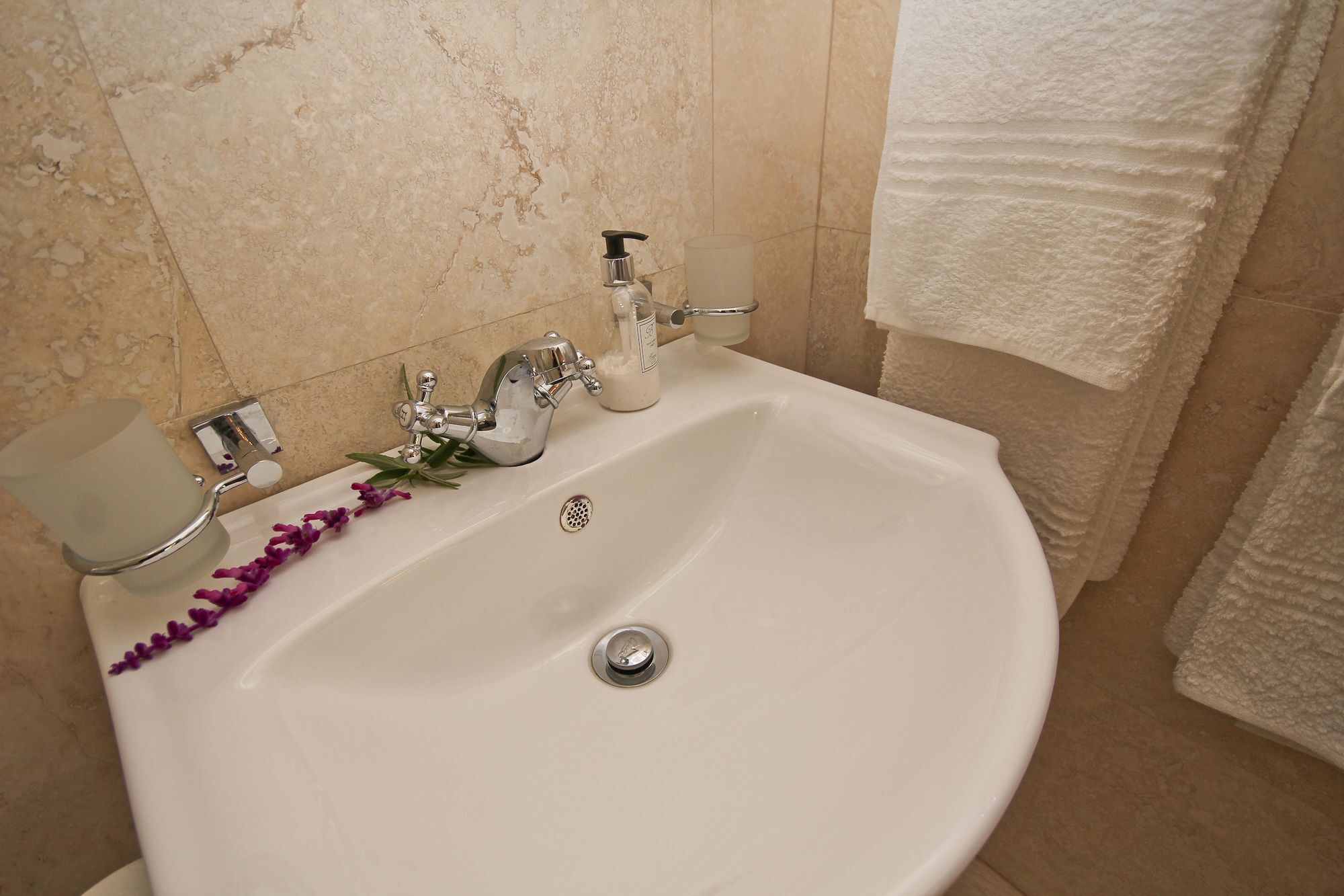 Beluga Of Constantia Guest House كيب تاون المظهر الخارجي الصورة