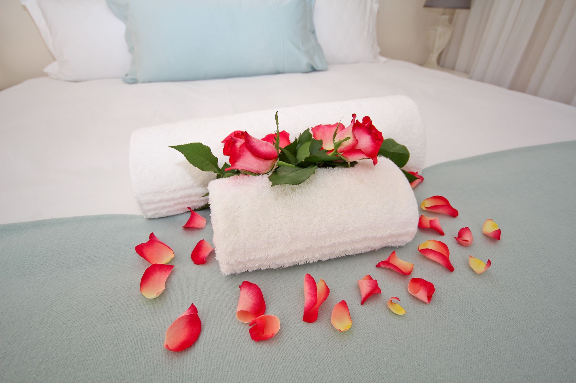 Beluga Of Constantia Guest House كيب تاون المظهر الخارجي الصورة